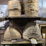 Vilnius to Aukstaitija National Park: Full-Day Tour - An Overview of the Itinerary