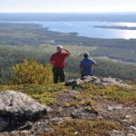 Vindelfjäll nature reserve: A walk through reindeer country - The Guide and Experience