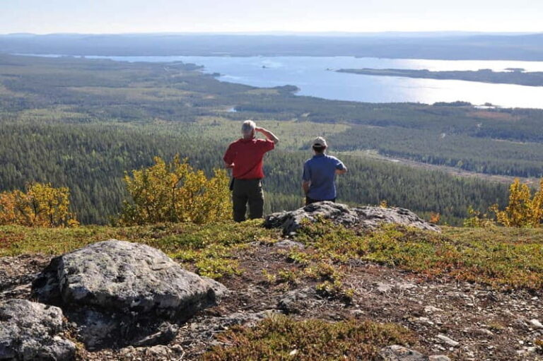 Vindelfjäll nature reserve: A walk through reindeer country - The Guide and Experience