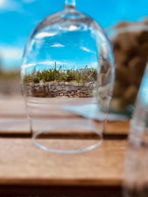 Vineyard Tour and Wine Tasting - Final Thoughts: Who Would Love This Experience?