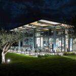 Vineyard Tour and Winery Visit with Tasting of Wines of Romagna - An In-Depth Look at the Vineyard Experience