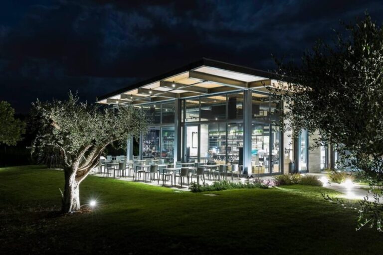 Vineyard Tour and Winery Visit with Tasting of Wines of Romagna - An In-Depth Look at the Vineyard Experience