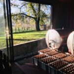 Vinho Verde 2 Wineries + Guimarães - from Porto - What Makes This Tour Stand Out