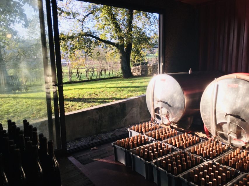 Vinho Verde 2 Wineries + Guimarães - from Porto - What Makes This Tour Stand Out