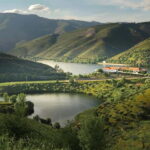 Vinho Verde: Visit 3 Wineries with wine tastings and Lunch - The Value of the Experience