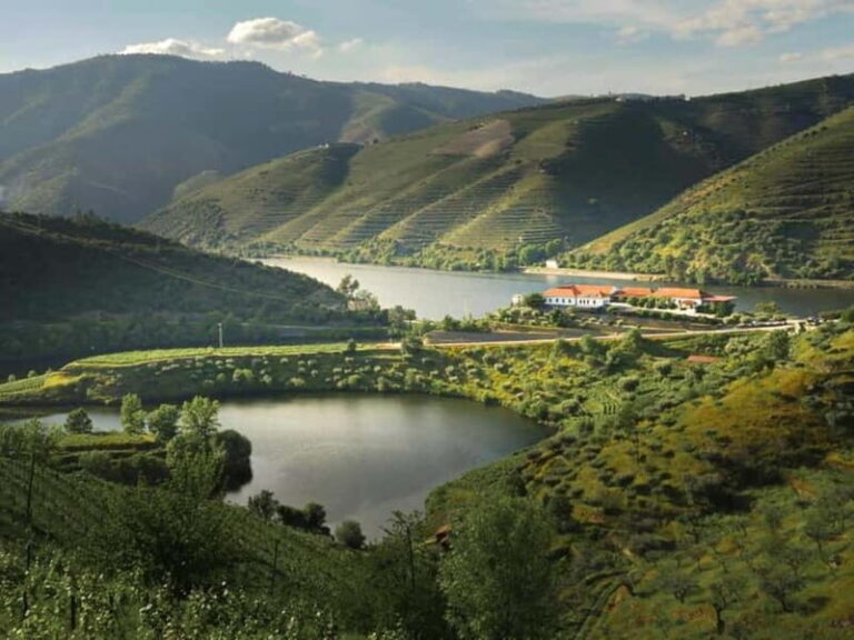 Vinho Verde: Visit 3 Wineries with wine tastings and Lunch - The Value of the Experience