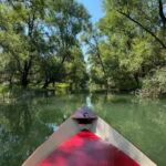 Virpazar: Amazon wilderness speed boat cruise - The Value of This Experience