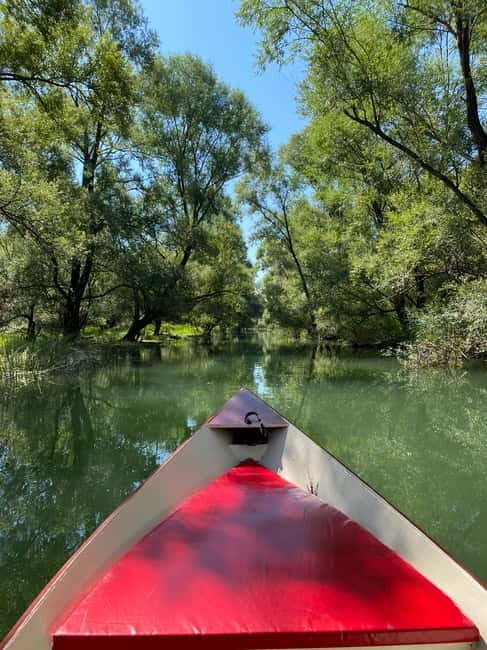 Virpazar: Amazon wilderness speed boat cruise - The Value of This Experience