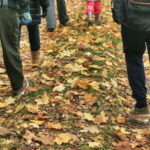 Visaginas: Wild Nature Hiking at Grauts Regional Park - What Makes This Tour Stand Out