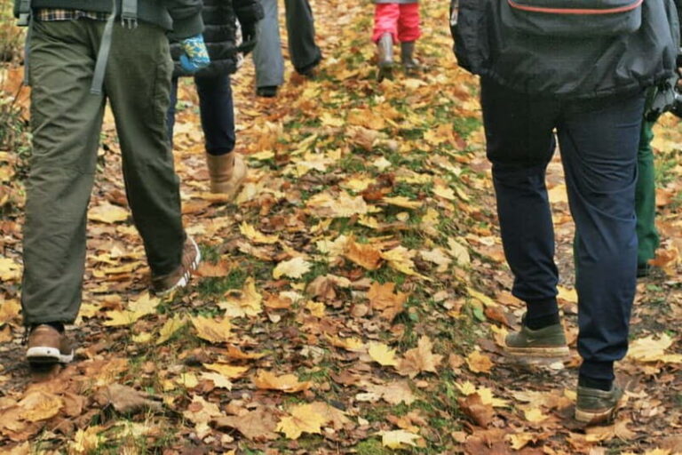 Visaginas: Wild Nature Hiking at Grauts Regional Park - What Makes This Tour Stand Out