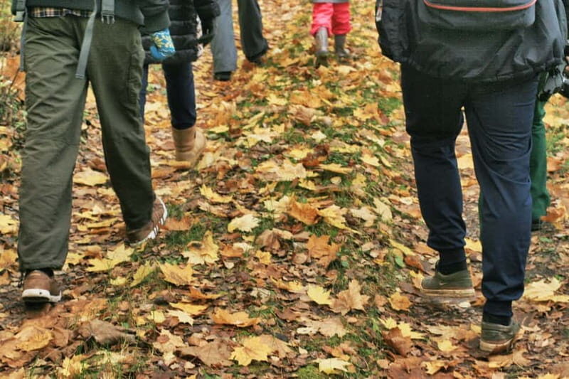 Visaginas: Wild Nature Hiking at Grauts Regional Park - What Makes This Tour Stand Out