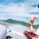 Visegrád: Private Cruise on the Danube River - Key Points