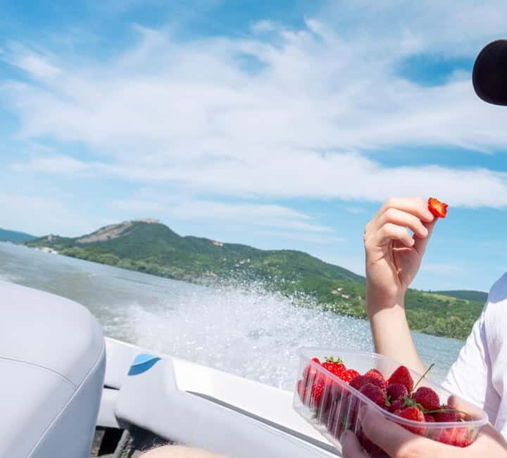 Visegrád: Private Cruise on the Danube River - Key Points