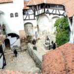 Visit Bear Sanctuary and Bran Castle from Brasov - What’s Included and What to Budget For