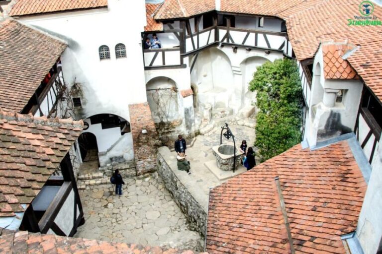 Visit Bear Sanctuary and Bran Castle from Brasov - What’s Included and What to Budget For