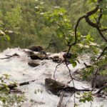 Visit Bubbelen, river comes out of the ground. - What Travelers Say About This Tour