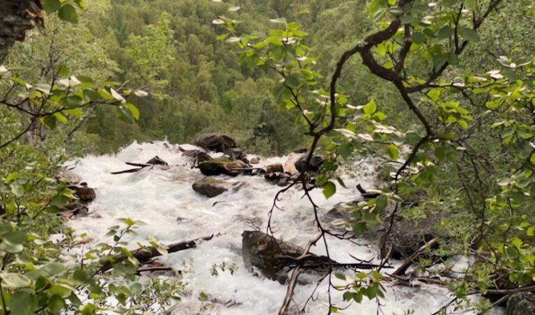 Visit Bubbelen, river comes out of the ground. - What Travelers Say About This Tour