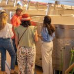 Visit Herdade da Comporta Winery - Who Will Enjoy This Experience?