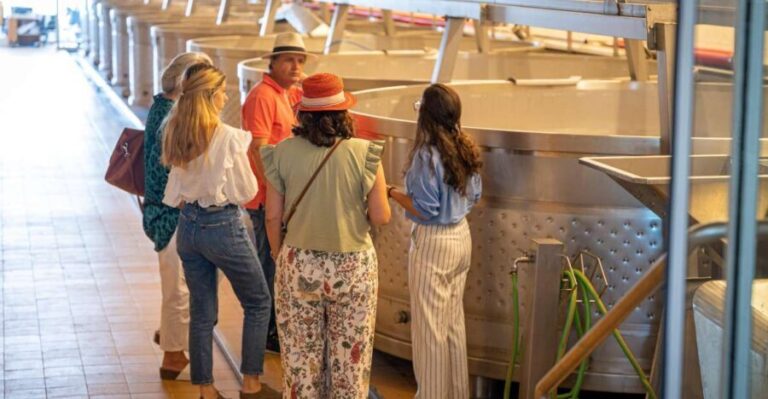 Visit Herdade da Comporta Winery - Who Will Enjoy This Experience?