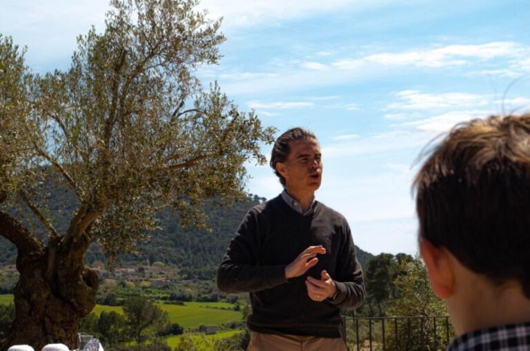 Visit of the olive grove, olive oil tasting and snack - Reviewing the Experience: Is It Worth Your Time and Money?