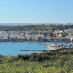 Visit Tarxien Temples, Kalanka Bay, Blue Grotto, Marsaxlokk - Who This Tour Is Best For