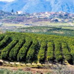 Visit the city of Konispol - Why This Tour Offers Great Value