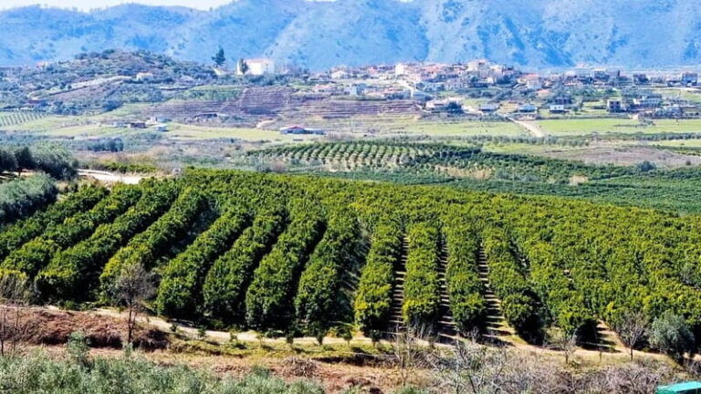 Visit the city of Konispol - Why This Tour Offers Great Value