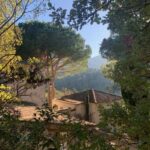Visit the most beautiful villages of the Luberon in Provence by minibus! - The Value of This Tour