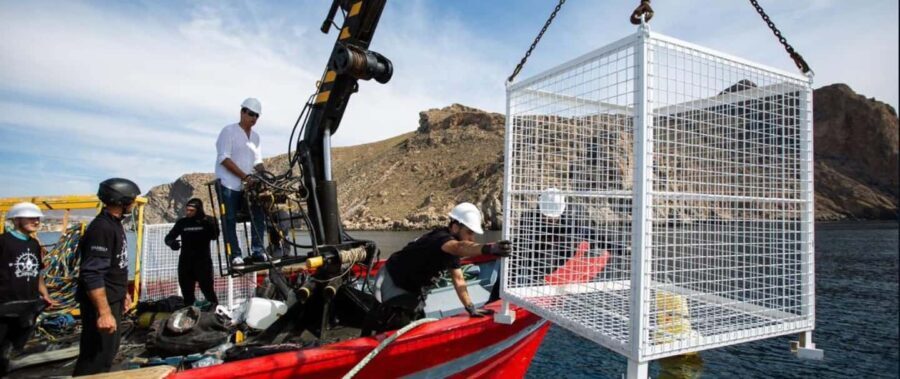 Visit the Underwater Wine Cellar by Boat with Tapas Tasting and Medieval Castle - The Value of This Experience