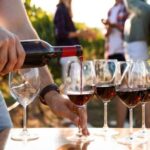 Visit the vineyards and discover Bandol wines - The Itinerary Breakdown