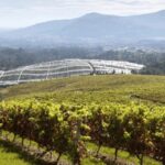 Visit to the Adegas Valmiñor winery and tasting - A Closer Look at the Adegas Valmiñor Experience