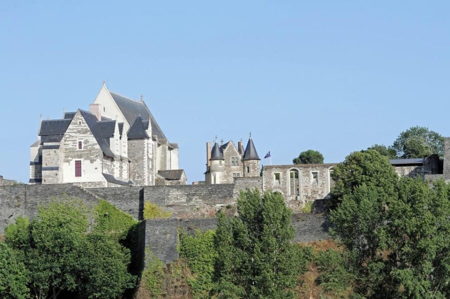 Visit to the Château d'Angers and wine tasting - The Wine Tasting Experience: A Regional Highlight