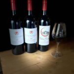 Visit to the property and wine/cheese pairing workshop - The Detailed Breakdown of the Experience