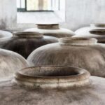 VISITA GUIADA ALMAZARA DE ACEITE Y BODEGA - An In-Depth Look at the Olive Oil and Bodega Tour