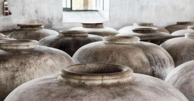 VISITA GUIADA ALMAZARA DE ACEITE Y BODEGA - An In-Depth Look at the Olive Oil and Bodega Tour
