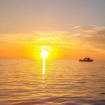 Visite en bateau avec final au COUCHER DE SOLEIL+vin Corse - Why This Tour Offers Great Value