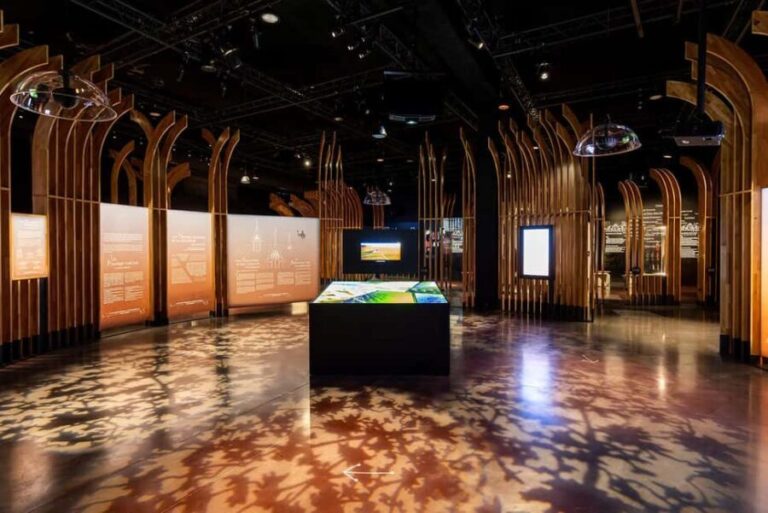 Visitor trail of the Cité in Beaune - Authentic Insights from Visitors’ Reviews