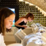 Visitor trail of the Cité in Chablis - What Makes the Cité’s Visitor Trail Special?