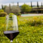 Viticcio tasting experience - The Sum Up