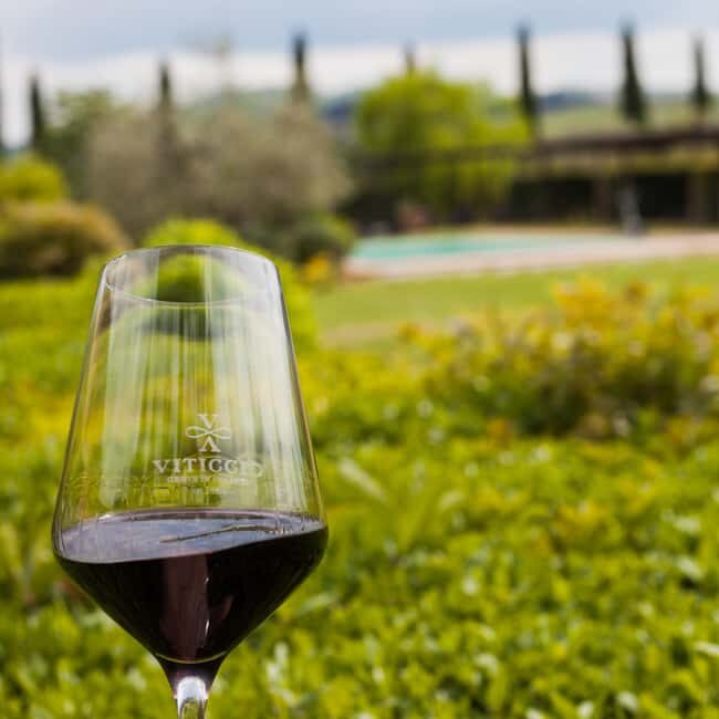 Viticcio tasting experience - The Sum Up