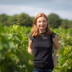 Vitteaut-Alberti: discovery tasting of 4 Crémants de Bourgogne - The Tasting Breakdown