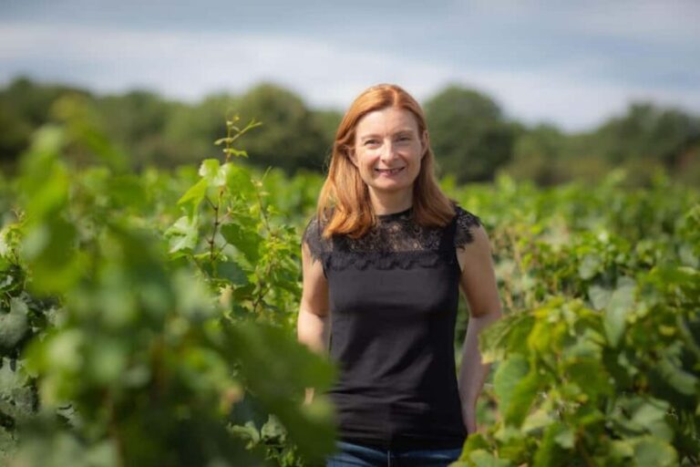 Vitteaut-Alberti: discovery tasting of 4 Crémants de Bourgogne - The Tasting Breakdown