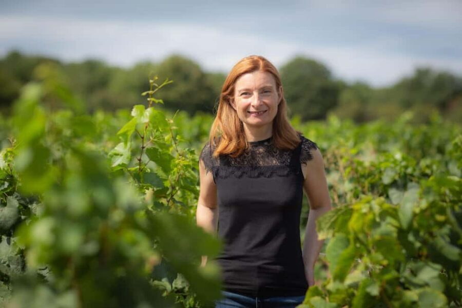 Vitteaut-Alberti: discovery tasting of 4 Crémants de Bourgogne - The Tasting Breakdown