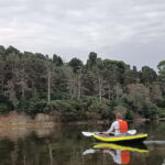 Vlora: Explore Narta Lagoon by Kayak - Who Should Consider This Experience?