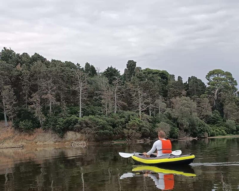 Vlora: Explore Narta Lagoon by Kayak - Who Should Consider This Experience?