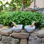 Volastra: BarCa Wine Tasting in Cinque Terre and Pesto Class - The Value of This Experience