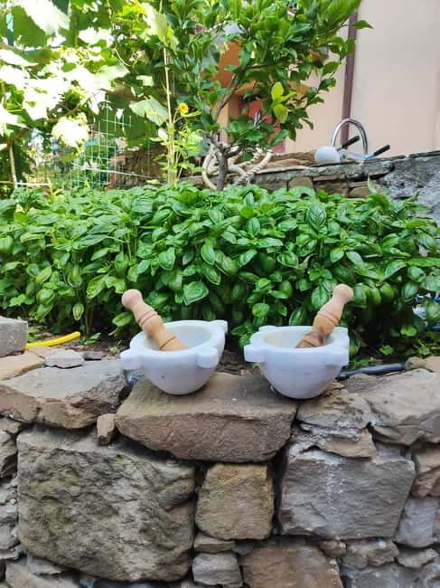 Volastra: BarCa Wine Tasting in Cinque Terre and Pesto Class - The Value of This Experience