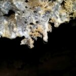 Volcanic caving Las Palomas Cave (ES-EN) - Who Should Consider This Tour?