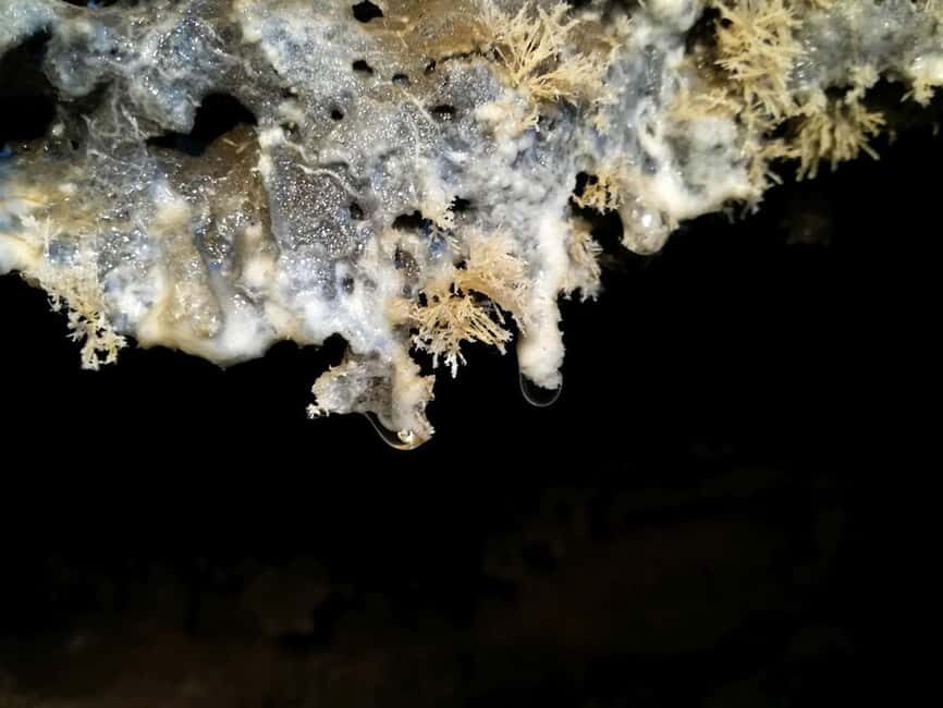 Volcanic caving Las Palomas Cave (ES-EN) - Who Should Consider This Tour?