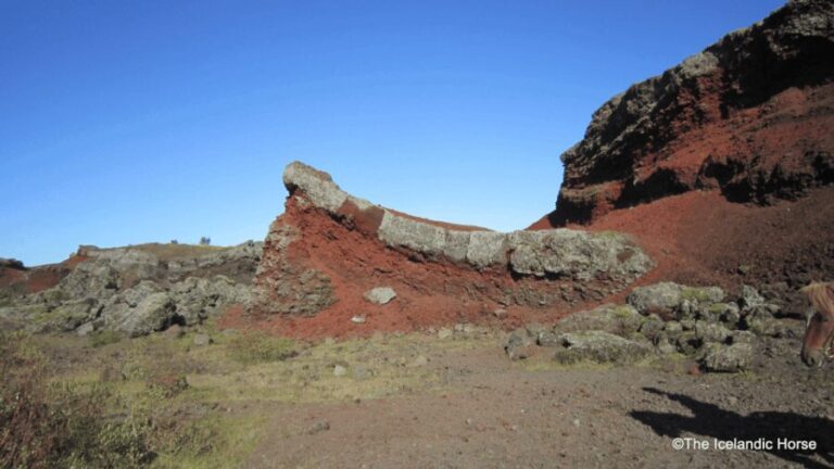 Volcanic Landscape Iceland Horse Riding Tours - Practical Details and Value